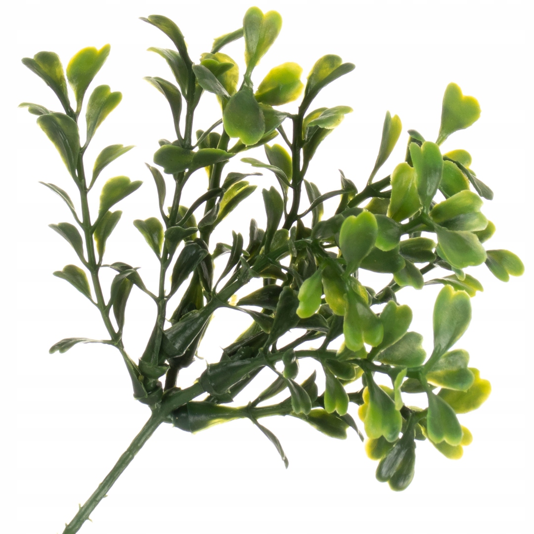 

Gałązka Sztuczna Borówka Bukszpan 16cm 10 odnóżek