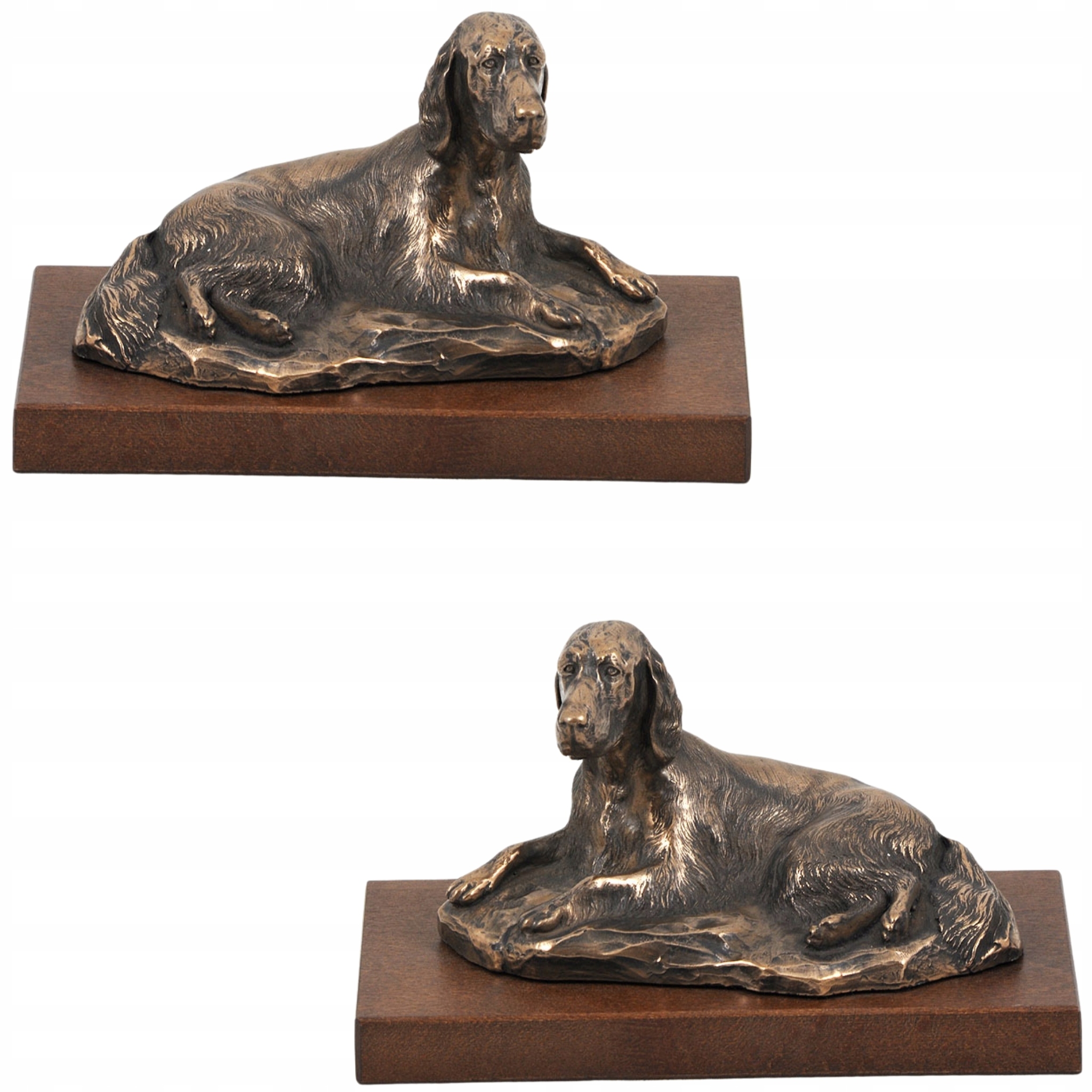 Seter angielski, Laverack statuetka psa, figurka do biura, trofeum na wys