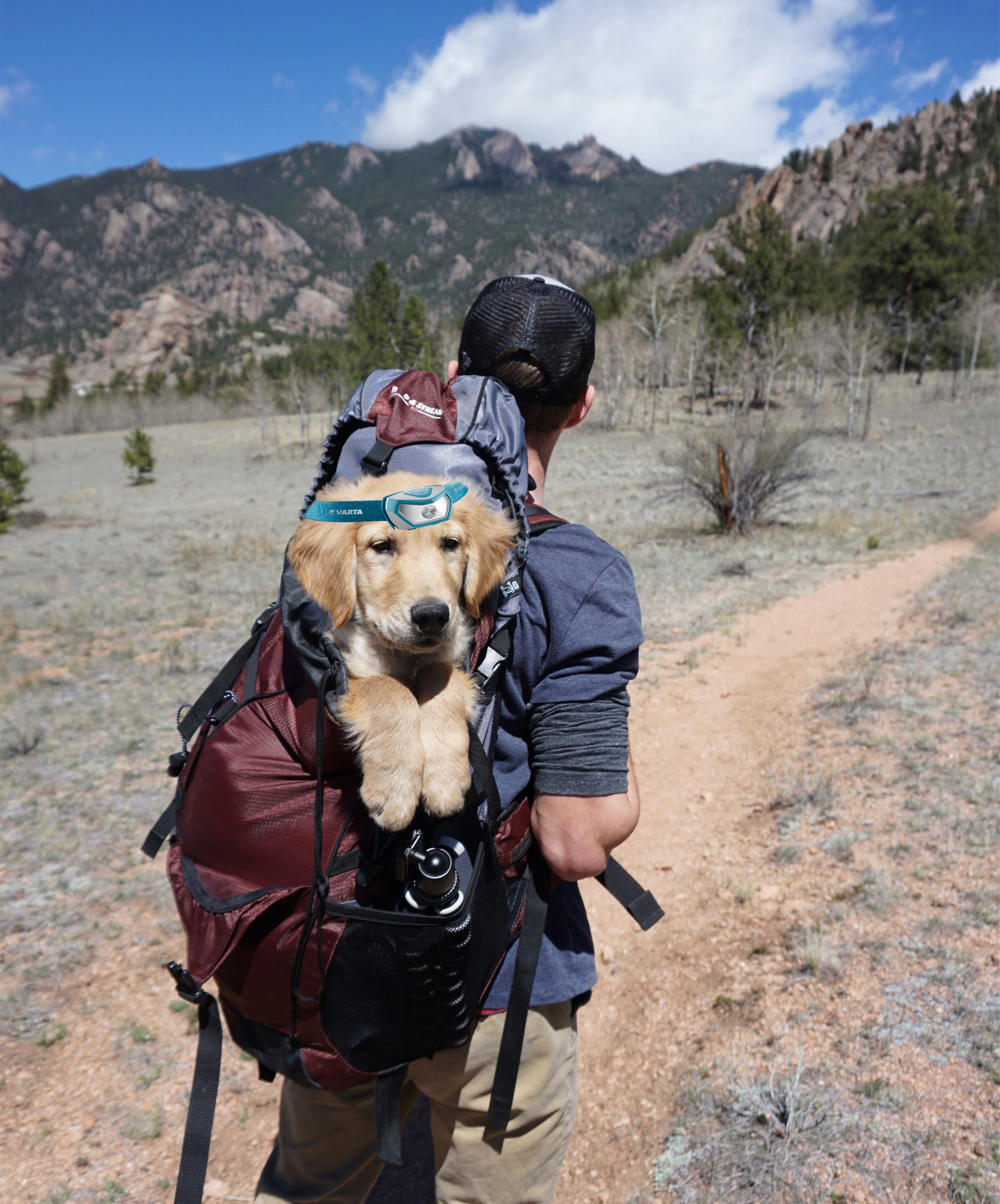 MOCNA LATARKA VARTA CZOŁOWA NA GŁOWĘ LED CZOŁÓWKA WODOODPORNA OUTDOOR Marka Varta