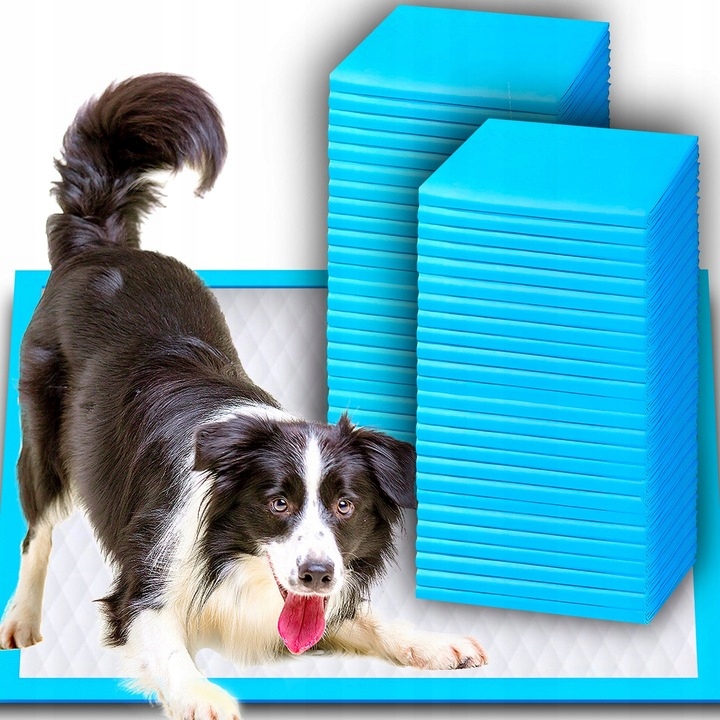 2 x Na Jedno Použití podložky pro psa 45 x 60 cm 100 Kusů sáčky Bonus