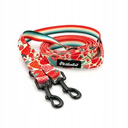 Levně Vodítko pro psa dlouhá, přepínací, Fruit Jelly Psiakrew 220 cm