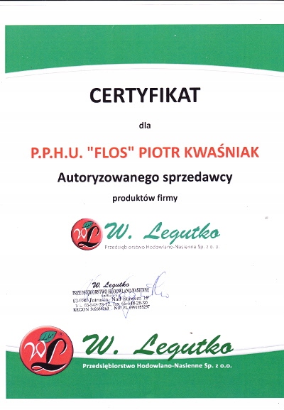 Nasiona Aksamitka rozpierzchła żółta, 1g — 7