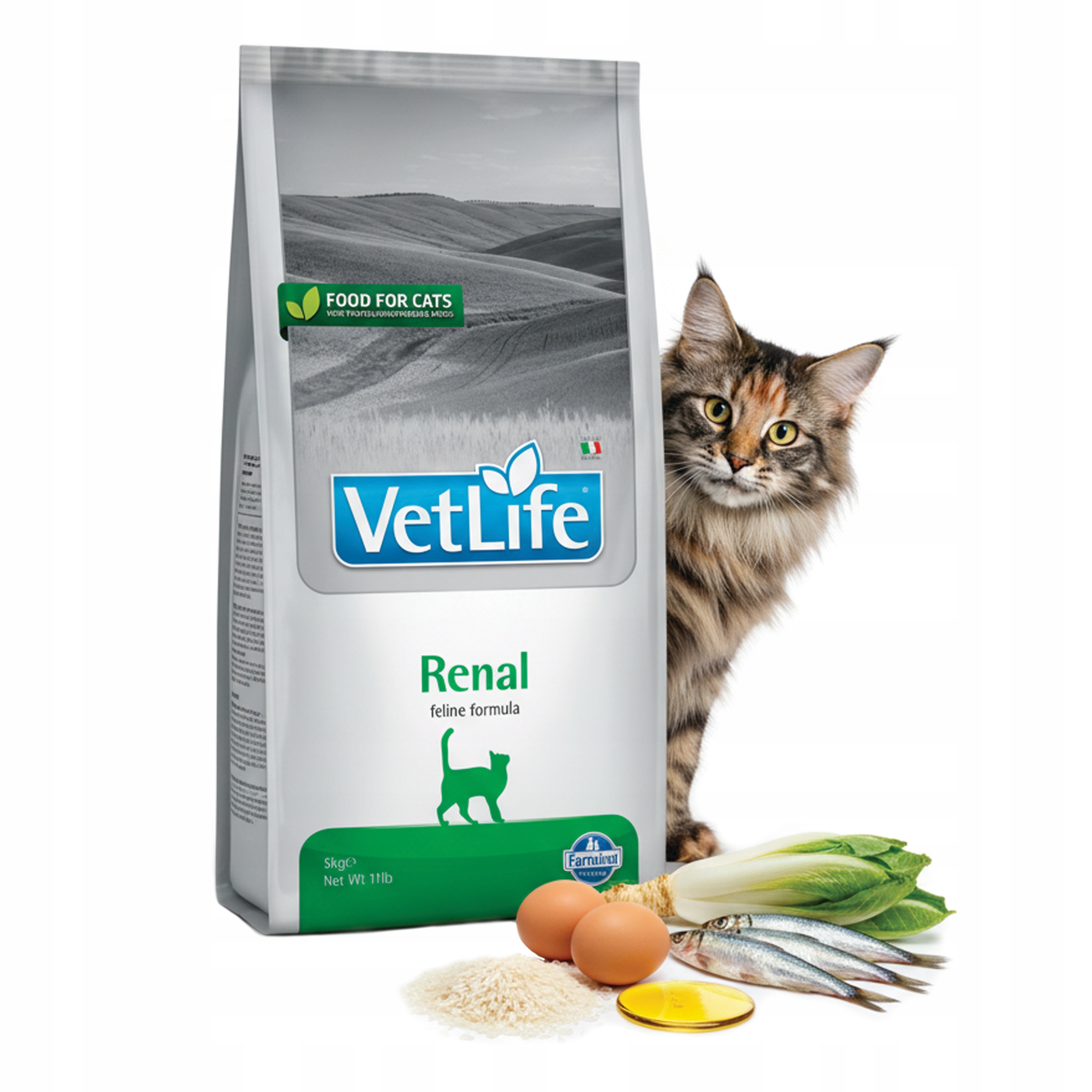 Farmina Vet Life Renal 5kg karma dla kota na nerki