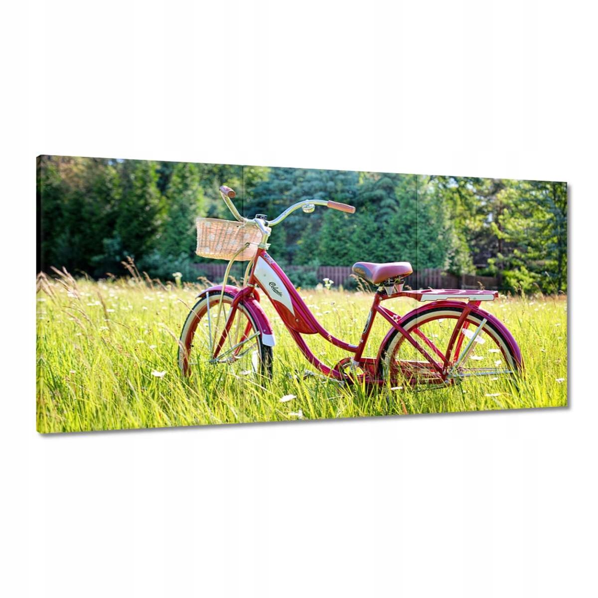 Obrazy 180x90 Bicykle Dva kolieska