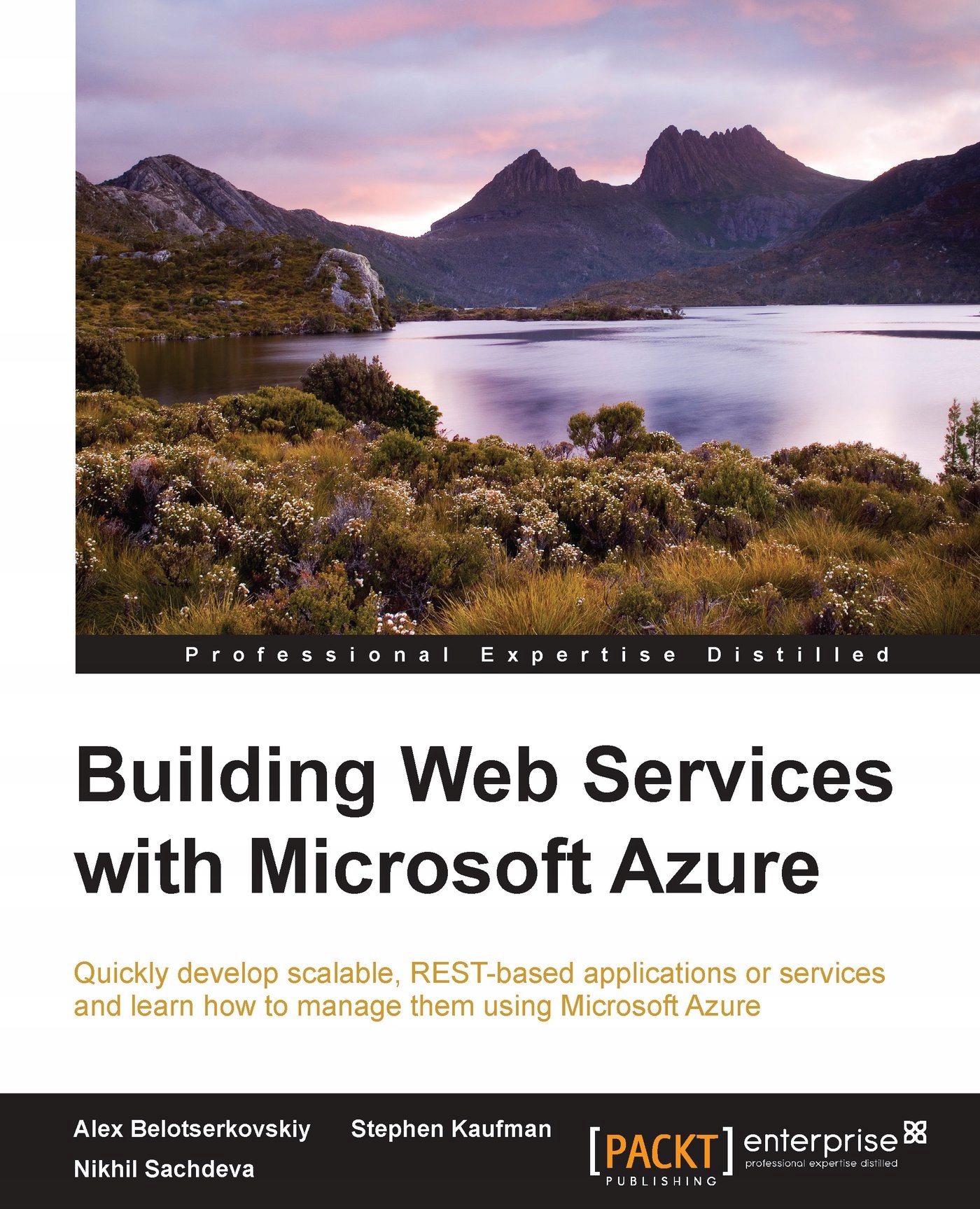 Building Web Services with Windows Azure - ebook