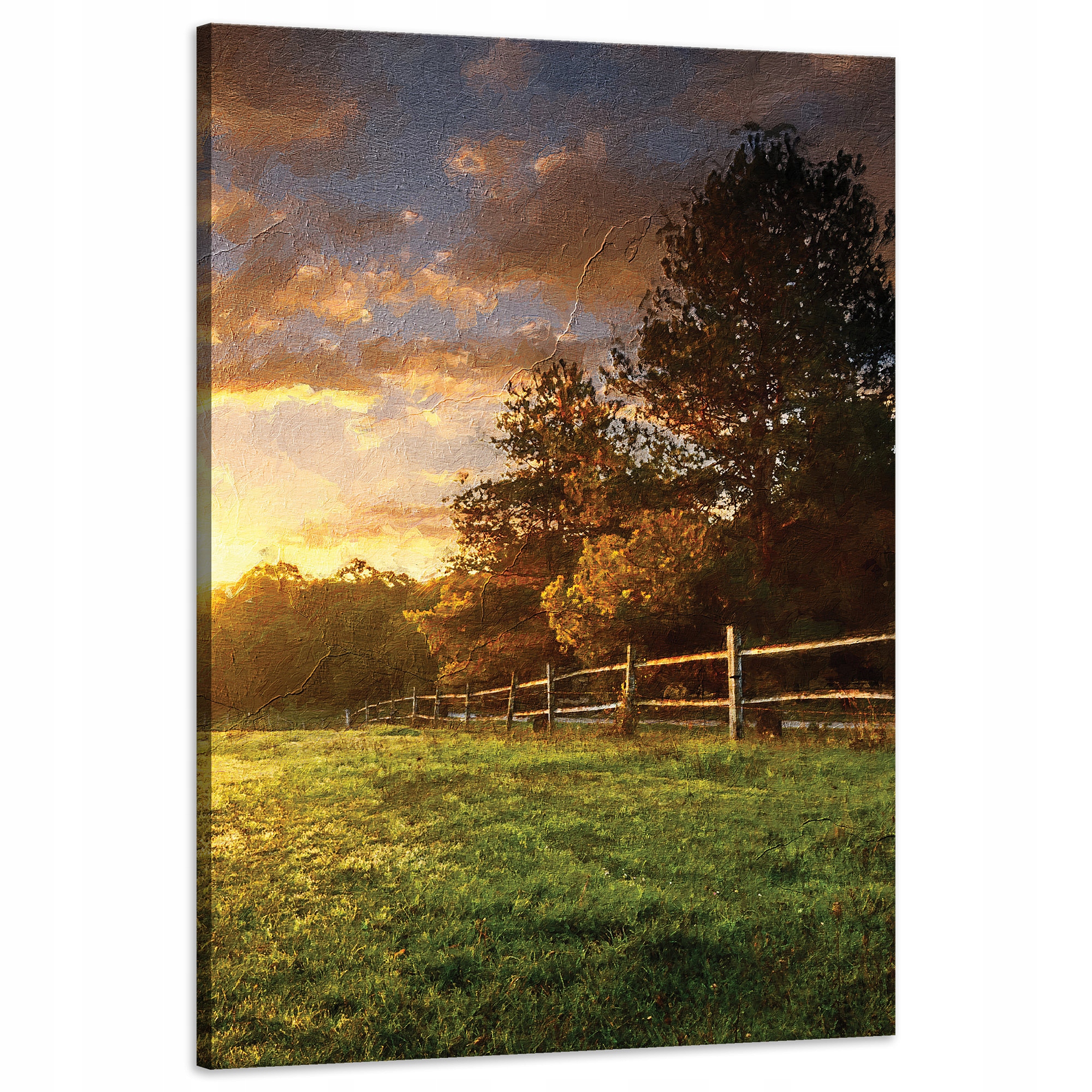 Obraz na plátně Slunce Krajina Venkovské stromy Louka 60x90 cm