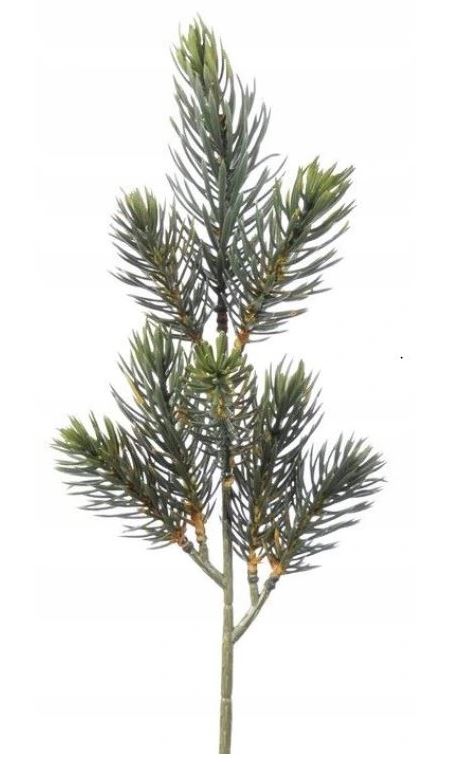 

Sztuczna gałązka Świerk jodła kaukaska Choina 37cm