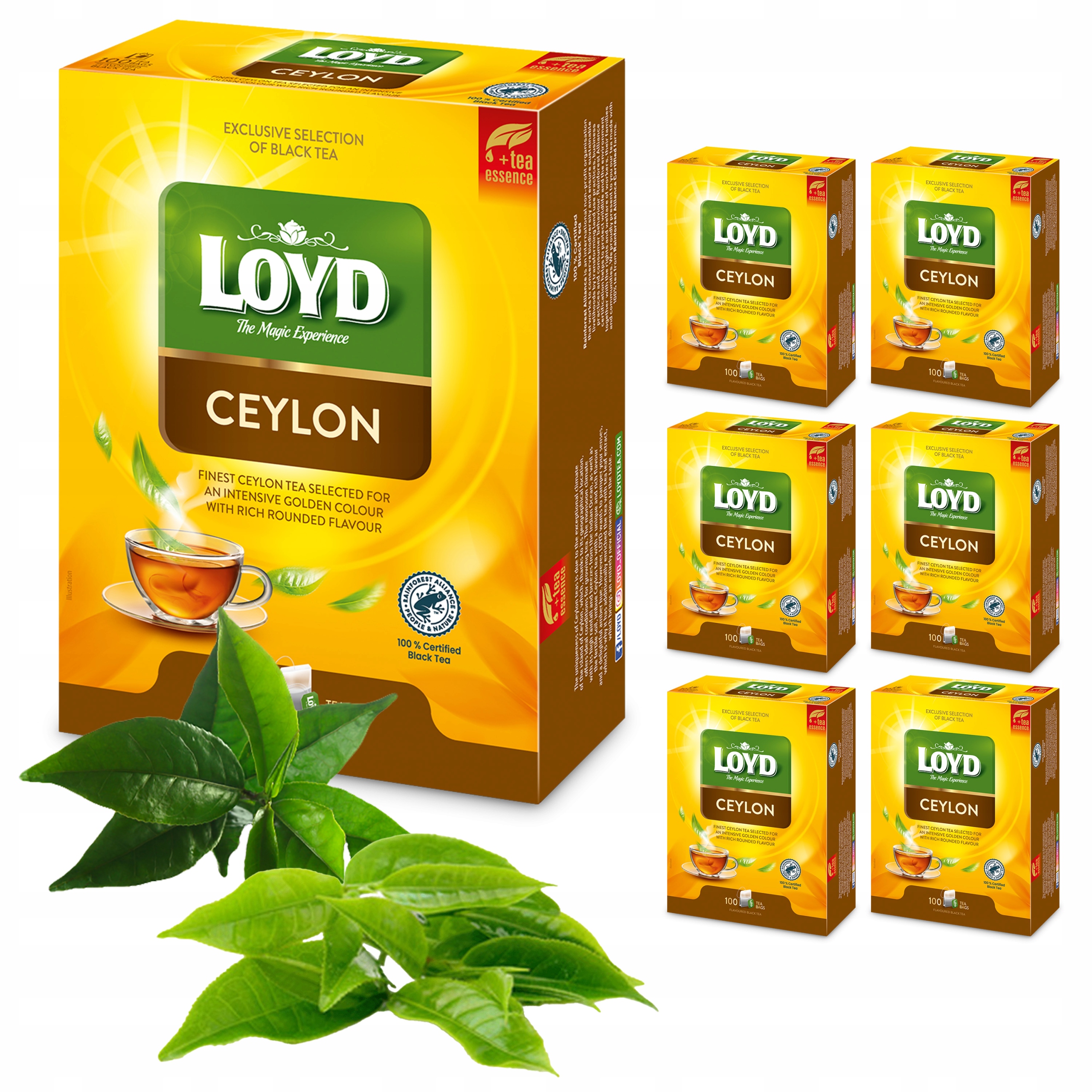 Zestaw 6 sztuk Ekspresowa Herbata Czarna Ceylon 100T Duże Opakowanie Loyd