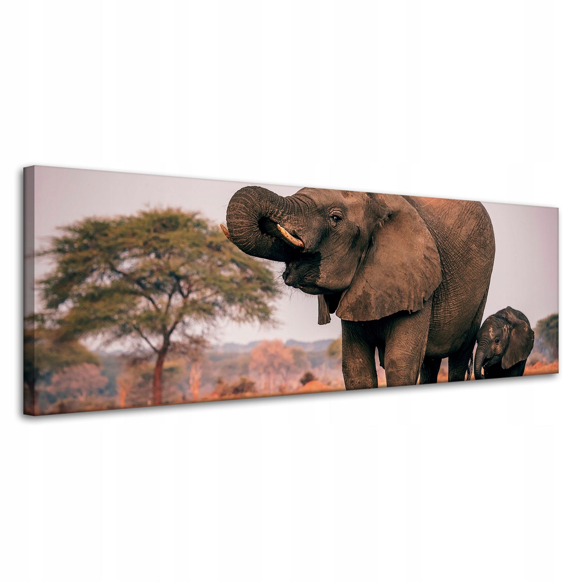 Obraz na plátně Sloni ve vodě Afrika Příroda 120x40 cm Ideální jako dárek
