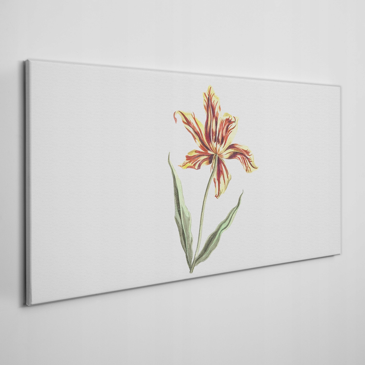 

Obraz ścienny na płótnie Kwiaty rośliny 100x50 cm