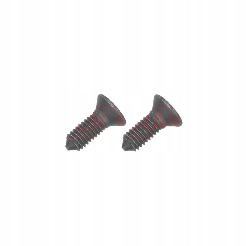 2SZT ŚRUBA TARCZY HAMULCJA