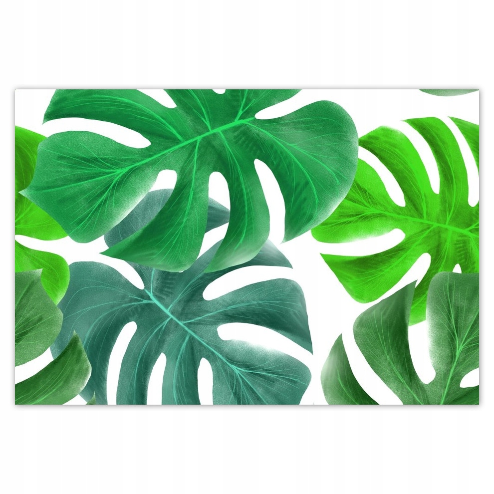 

Fototapety flizelina 104x70 Liście monstery