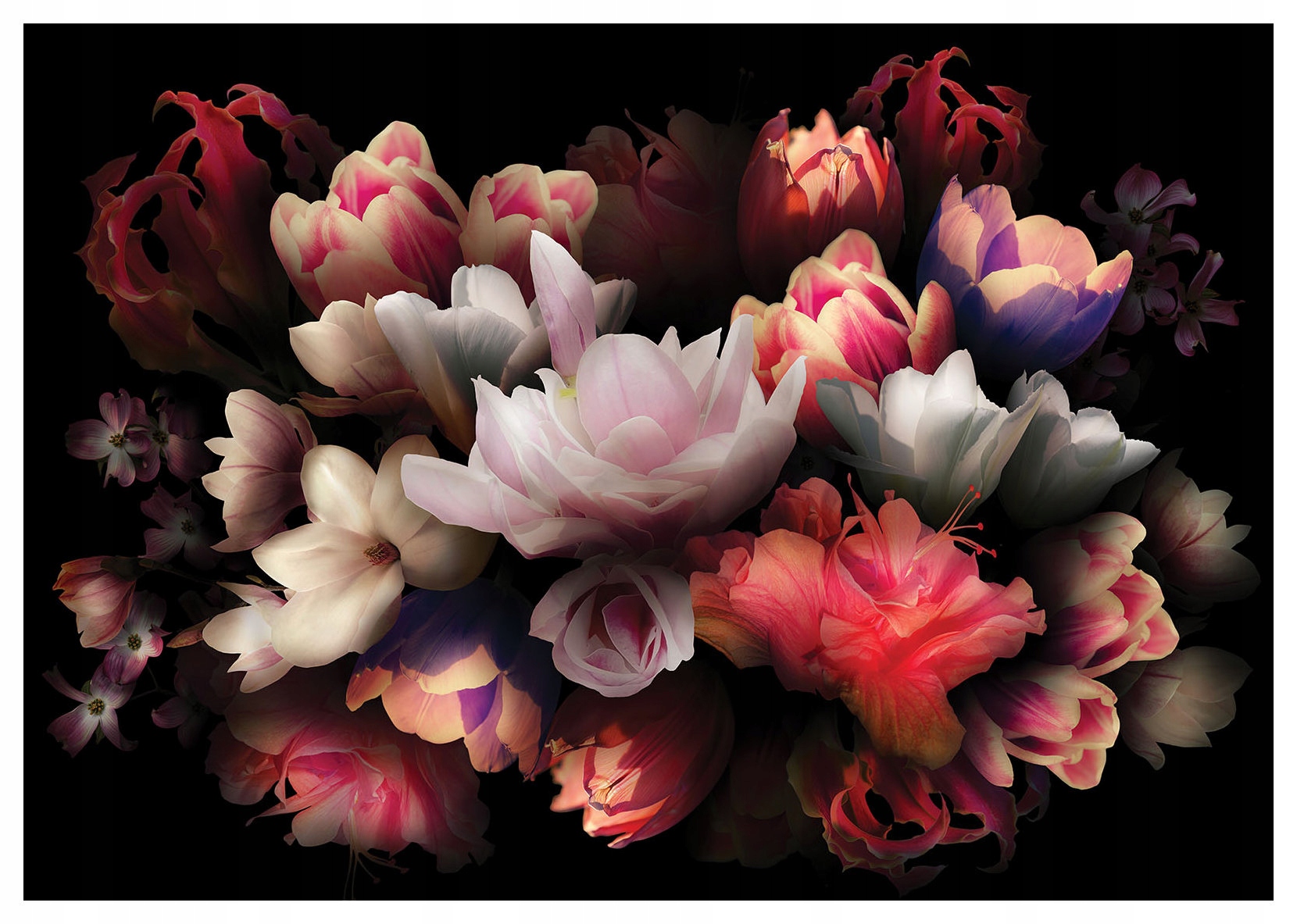 Fototapeta Květinový ráj Tulipány Pivoňky Růže vinylová 254x184 lepidlo