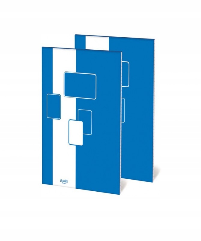 

Blok Biurowy Bantex Budget A4/100K Kratka