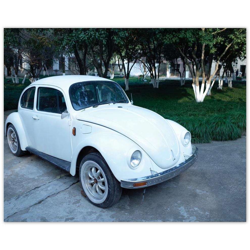 

Plakat 50x40 Garbus Volkswagen Vw Auto