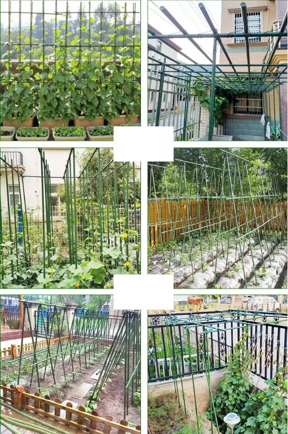 100x Tyczka PODPORA palik DO roślin POMIDORÓW kwiatów STAL powlekana 120 cm Średnica 11 mm