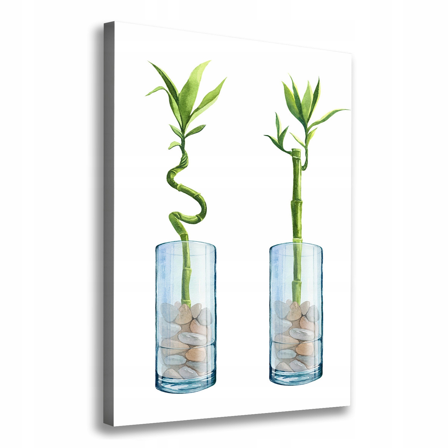 

Foto obraz na płótnie Bambus w doniczce 70x100 cm