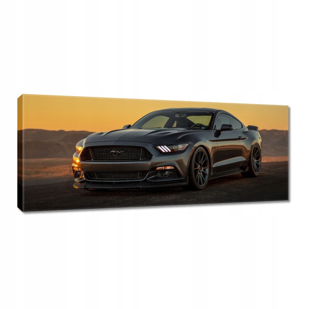 

Obrazy 100x40 Ford Mustang made in Usa
