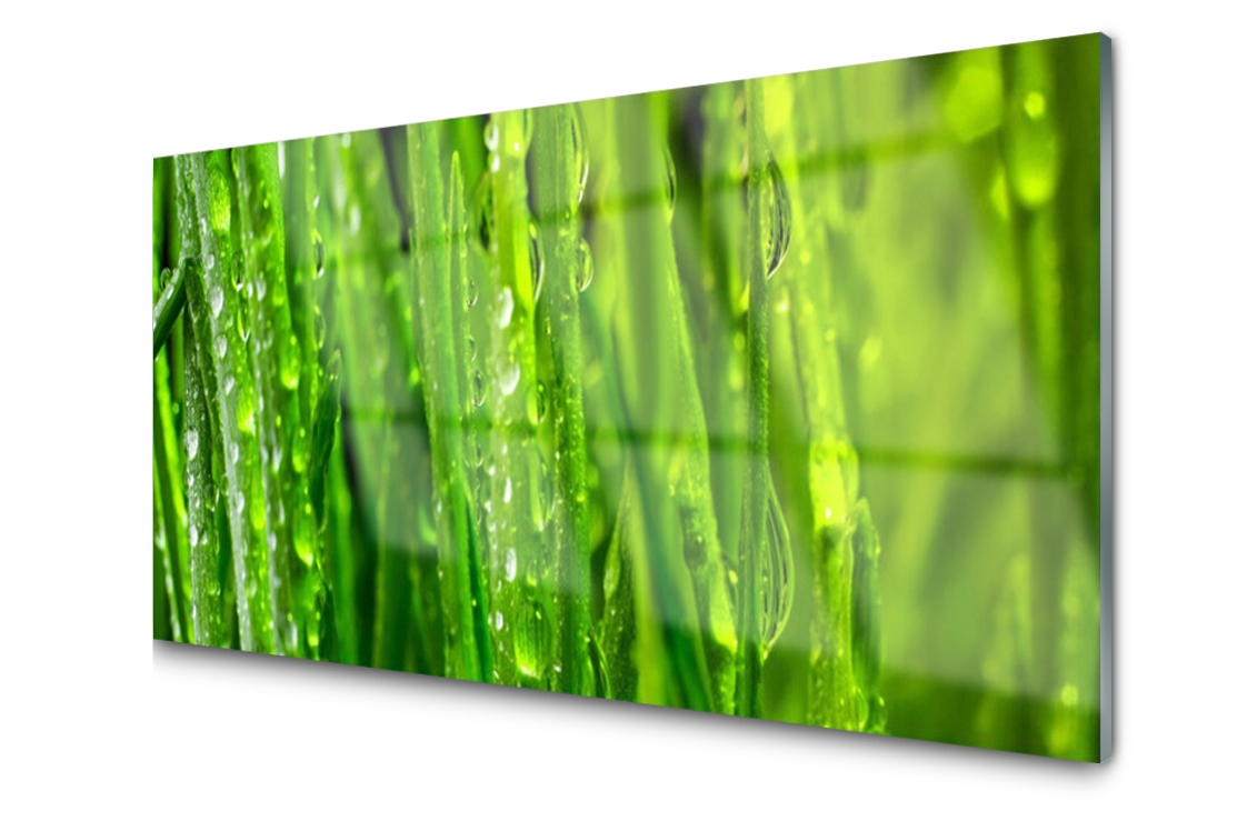 

Panel szklany Płytka Trawa Roślina 120x60 + Klej