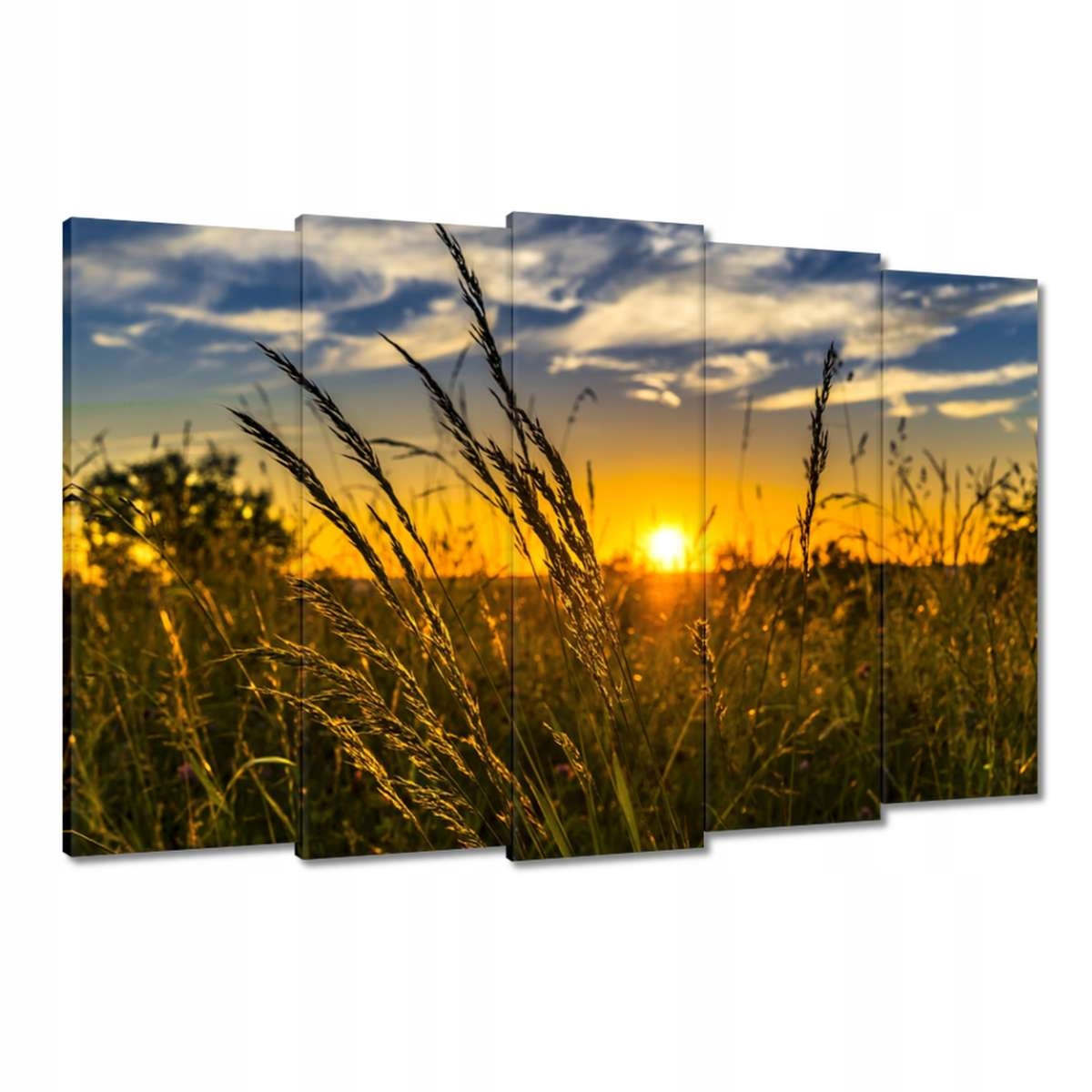 Obrazy 150x95 Západ slunce mezi trávou
