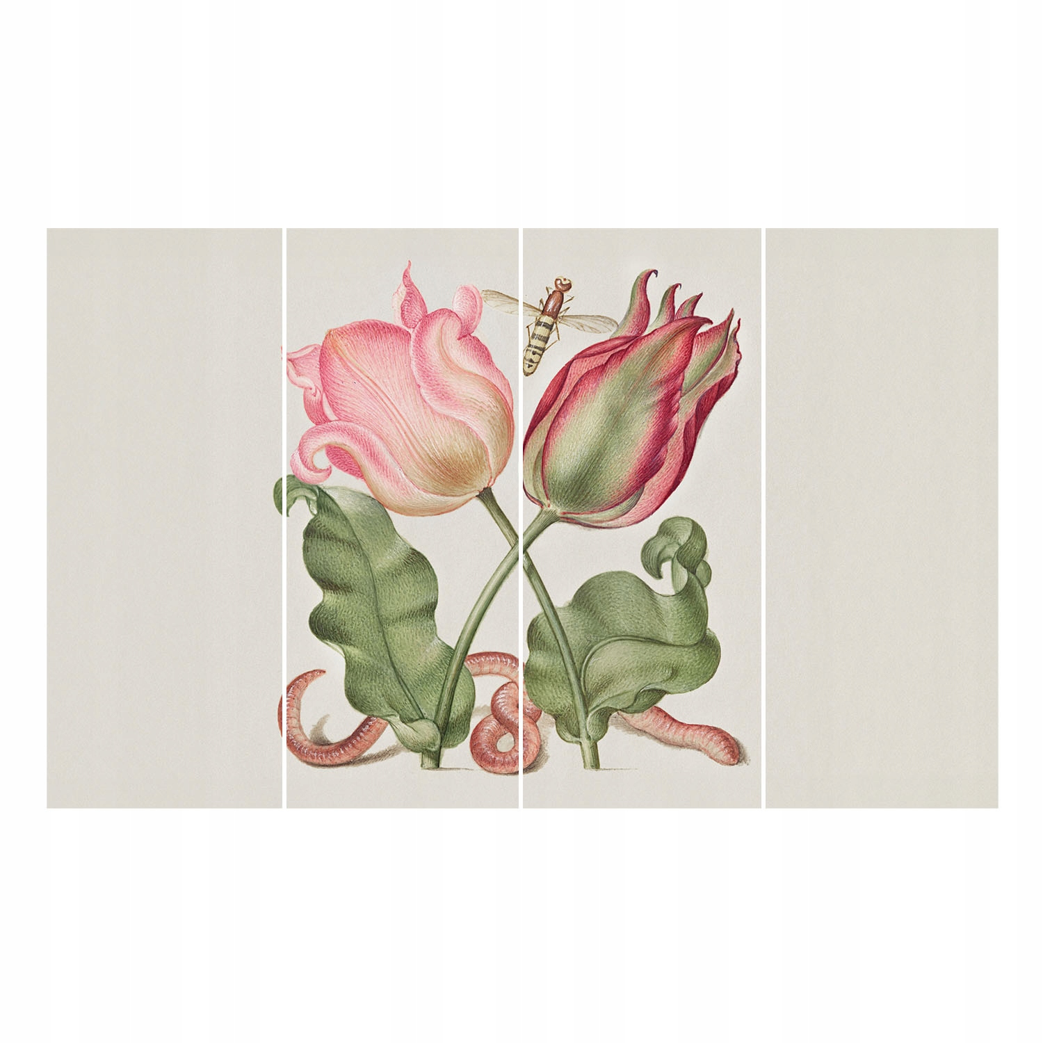 Fototapeta na vlies do izby domu 3D Tulipánová krása 416x254 lepidlo