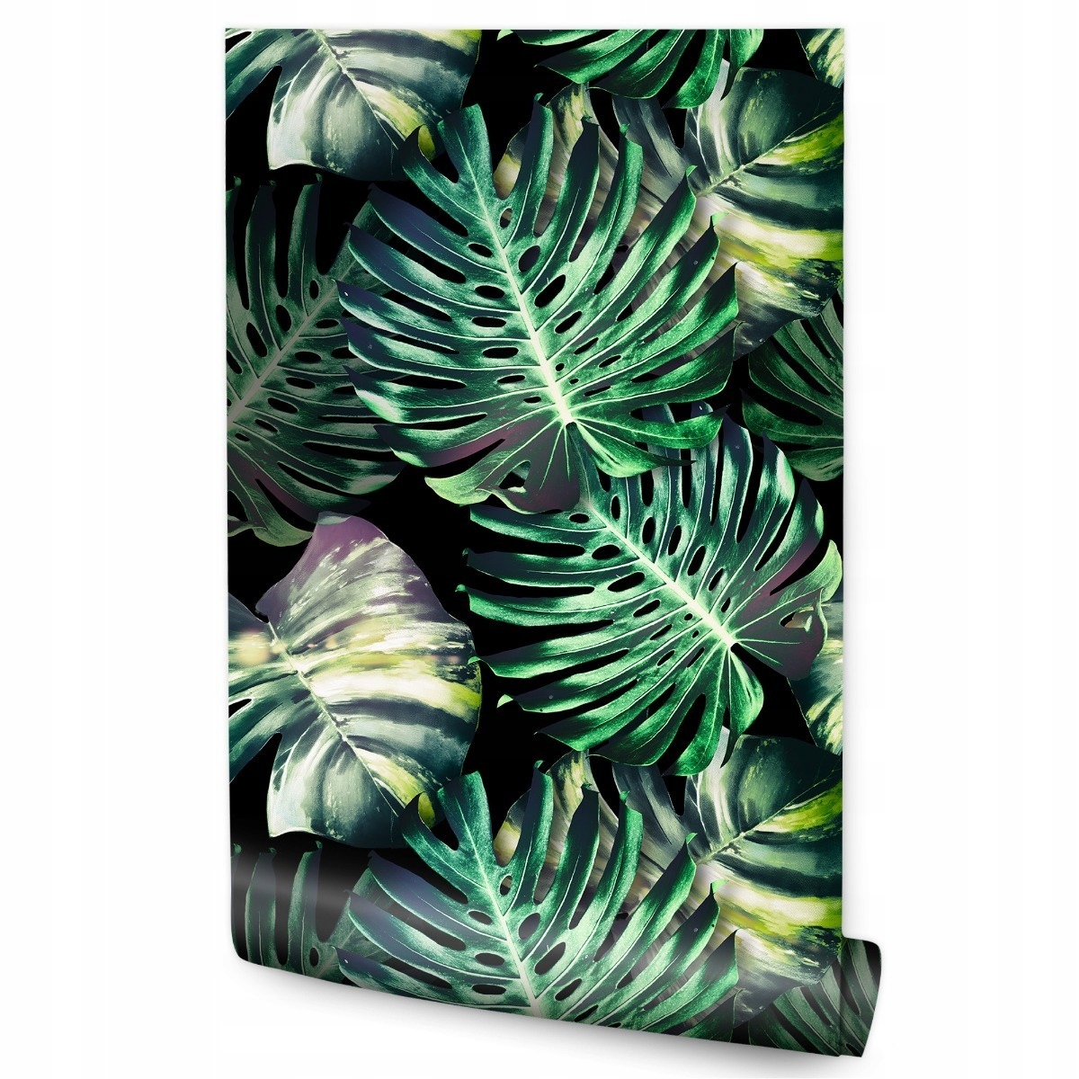 Tapeta do obývacího pokoje Monstera Tropické listy Příroda
