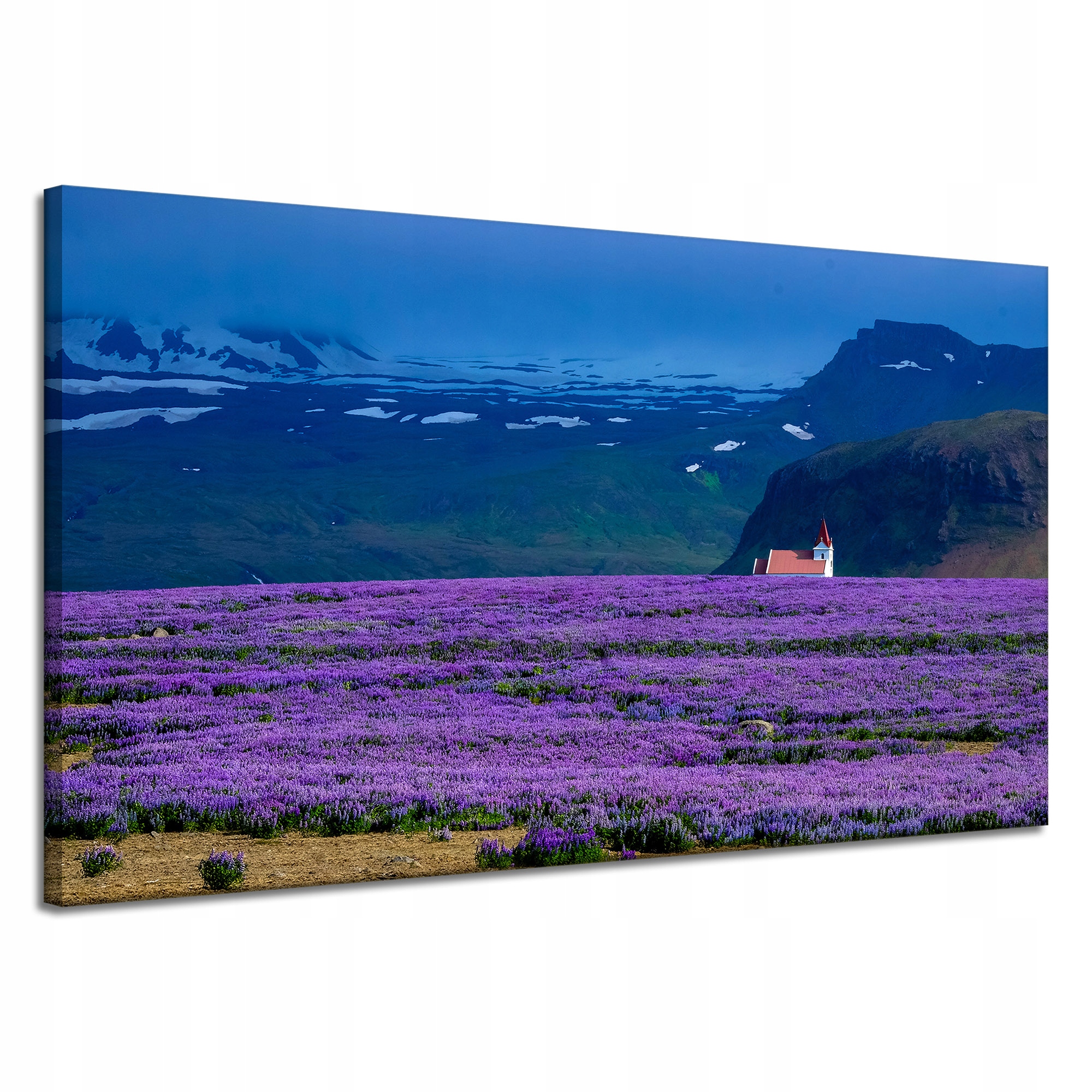 Obraz na plátně Příroda Pole levandule Květiny 120x70