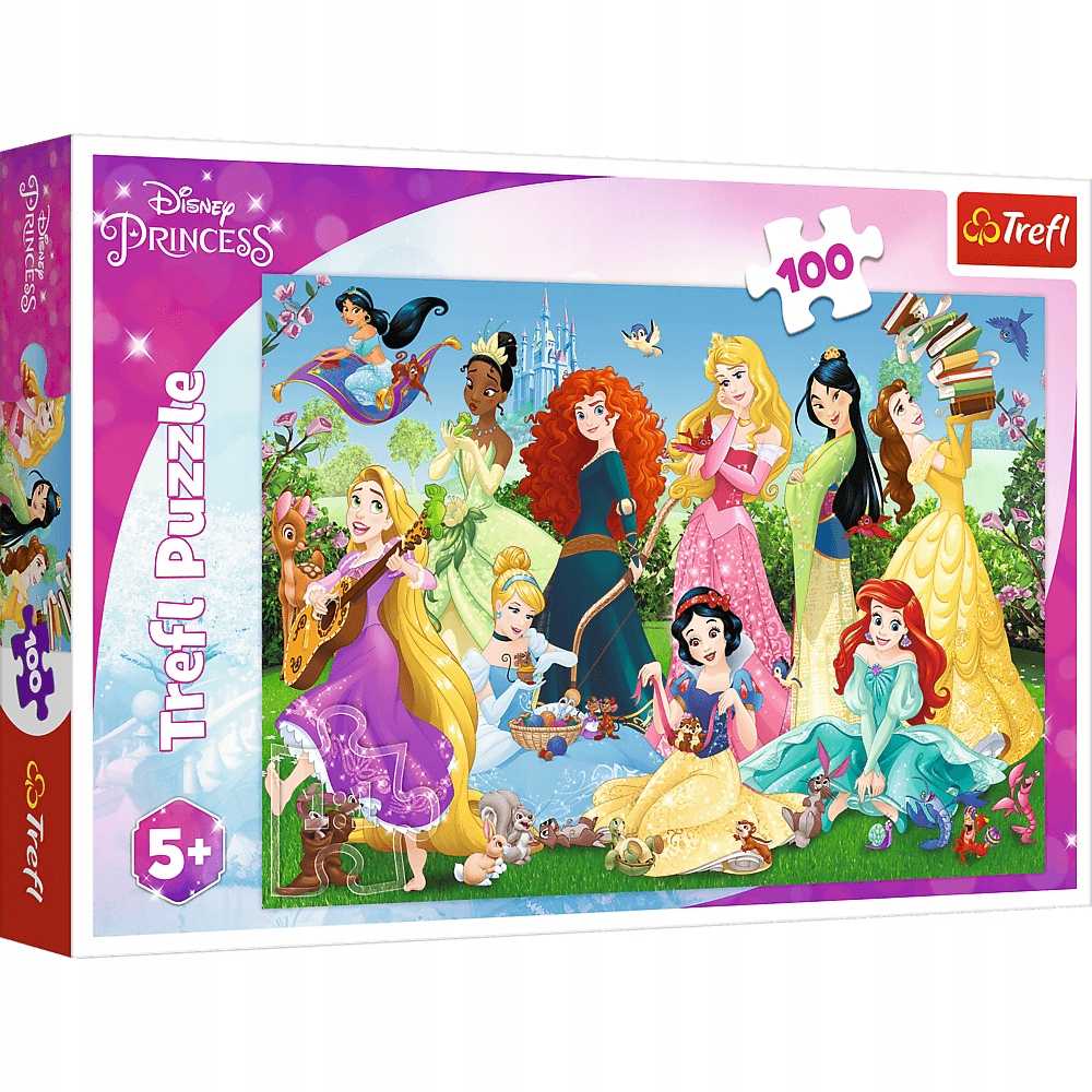 

Puzzle 100 Czarujące Księżniczki 16417