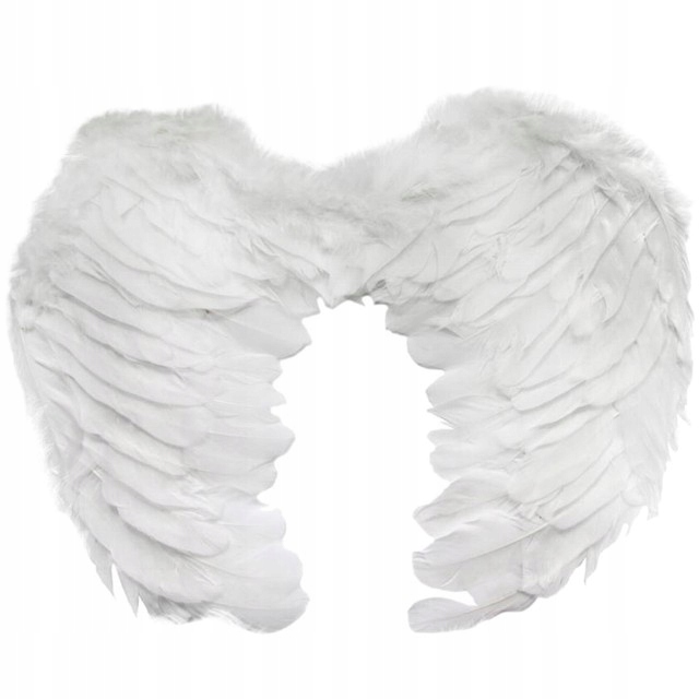 Skrzydełka cherubina Arpex