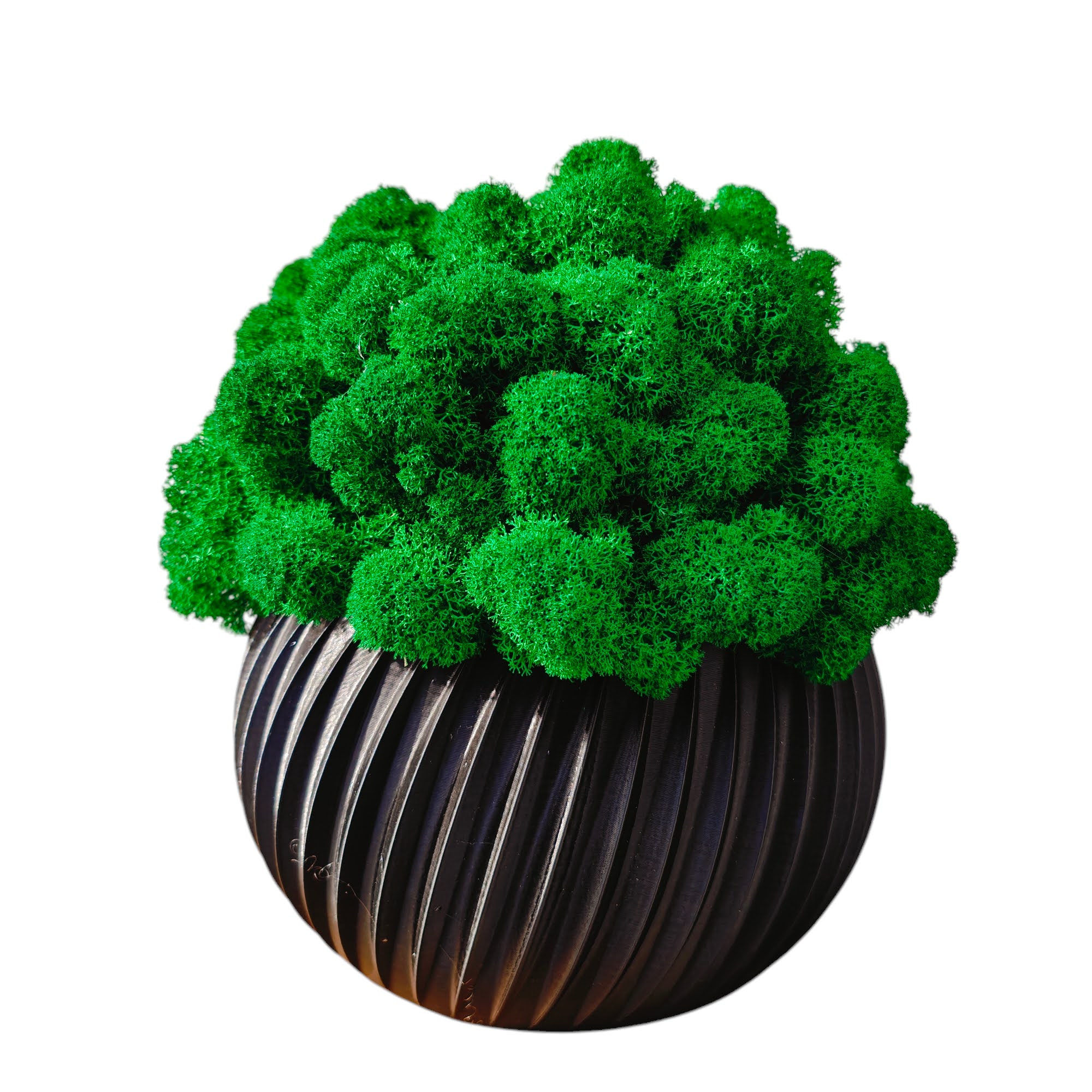 Květináč s mechem chrobotkem velký Mech Chrobotek v květináči, černý, 3D tisk