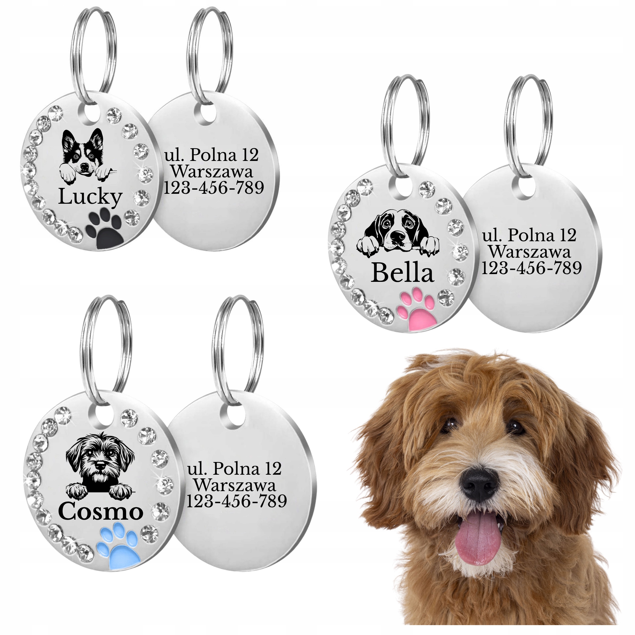 IDENTYFIKATOR ADRESÓWKA PIES ŁAPKA RASA GRAWER DLA PSA Z GRAWEREM RASY