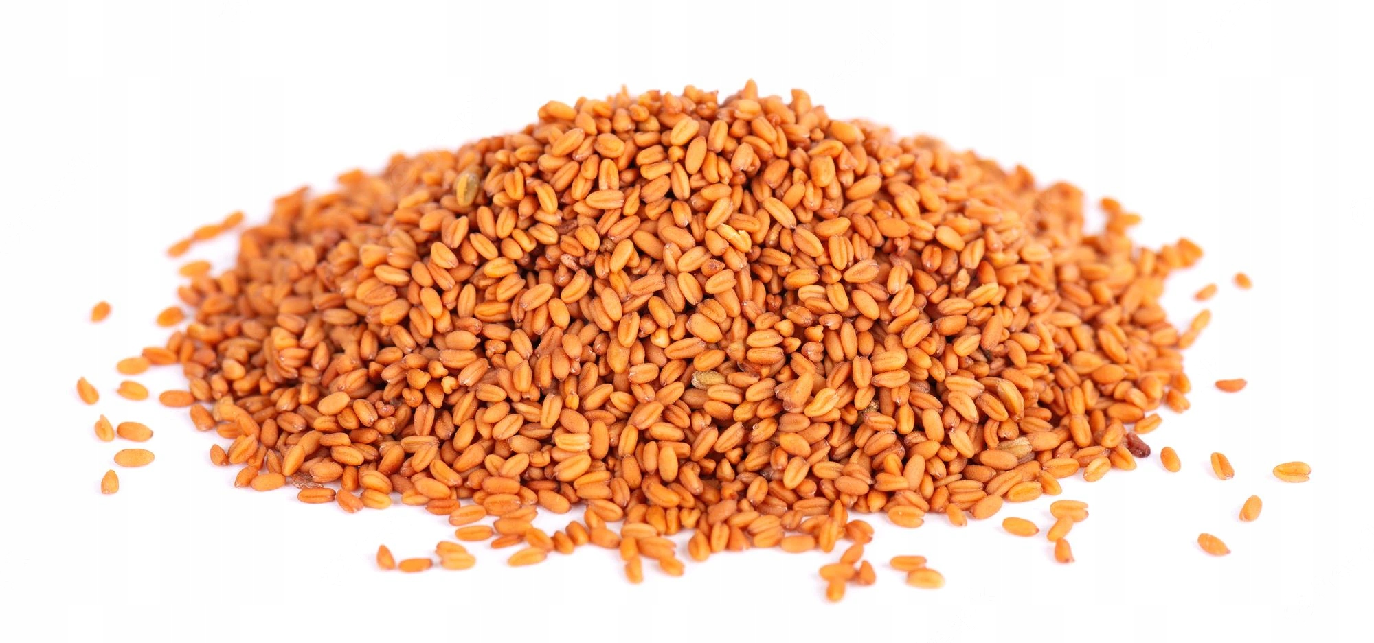 Levně Lněná semena lnička setá semena 1 kg