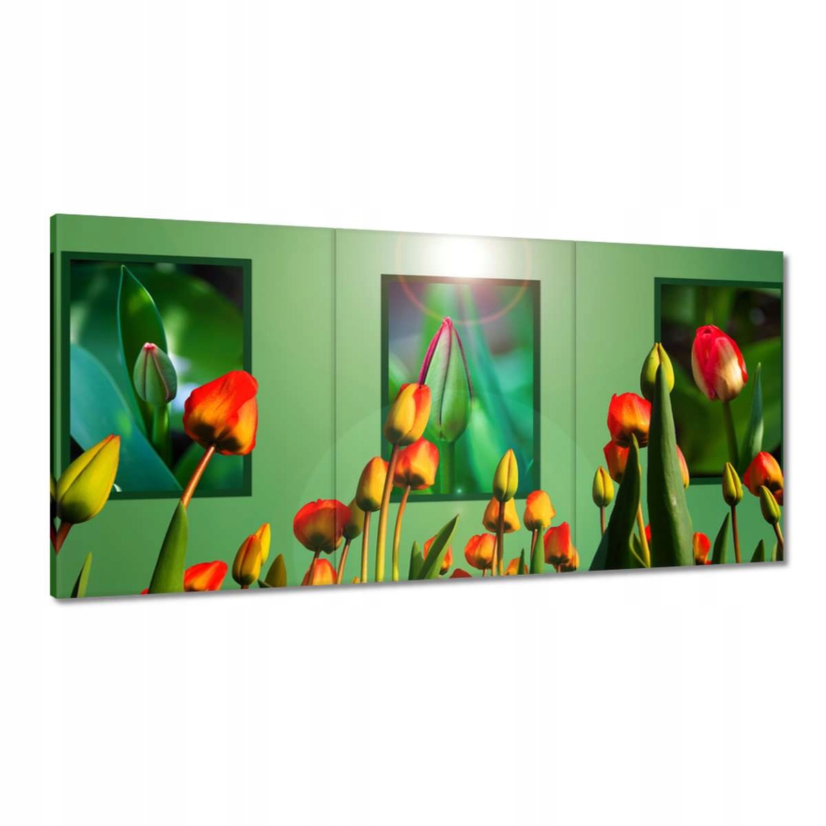 Obrazy 180x90 Tulipány Kvety