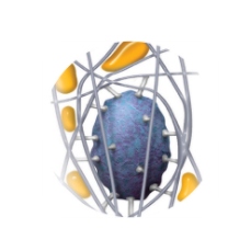 1x 285/45R20 Vredestein Wintrac Pro 112W NOWE ZIMA Klasa premium