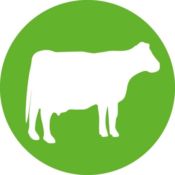 Strzykawka TU-Flex-Master A 50 ml LL 8300028722 Marka inny