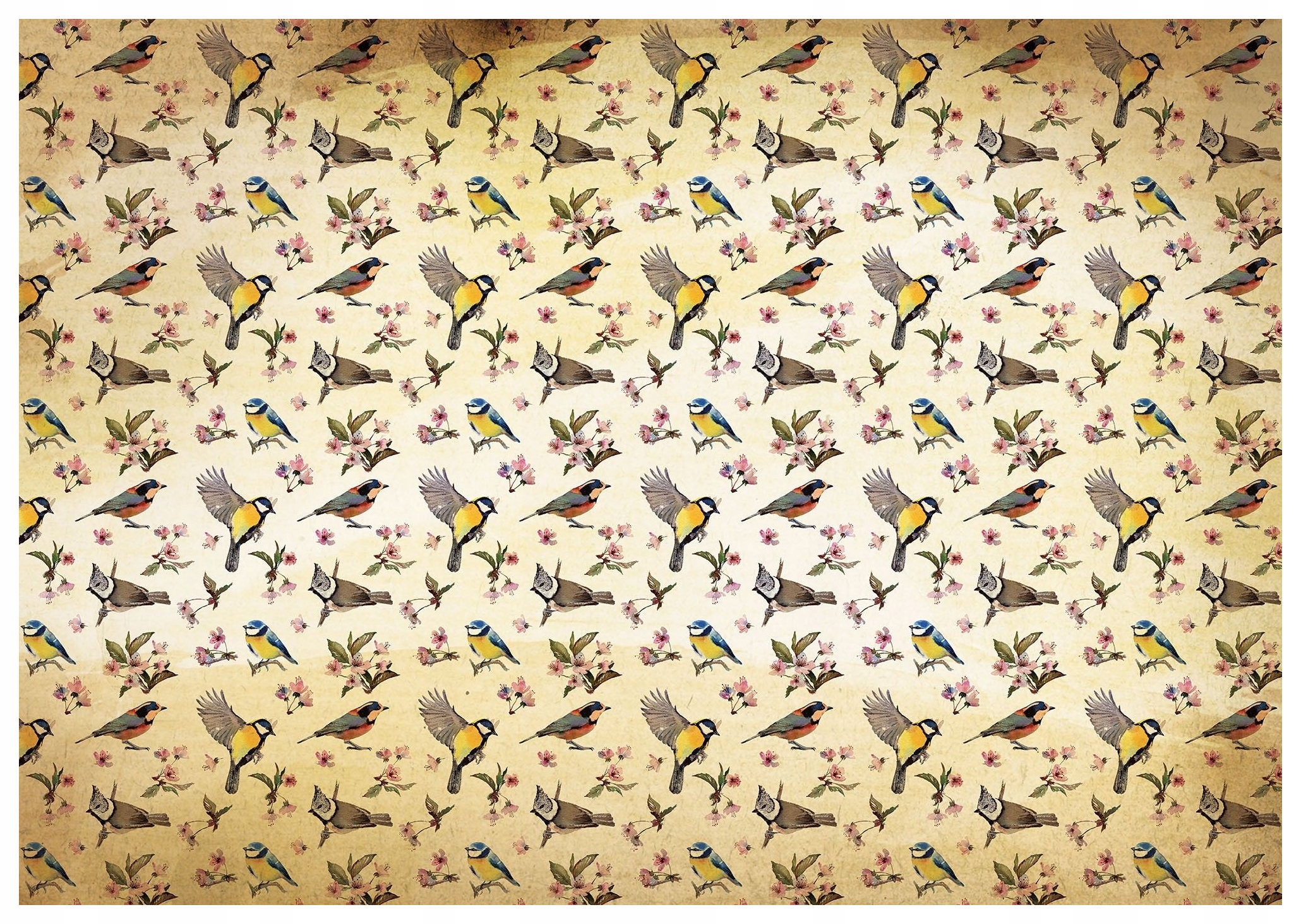 Vliesová fototapeta Ptáci Květiny Zahrada radost Harmonie 250x175 lepidlo