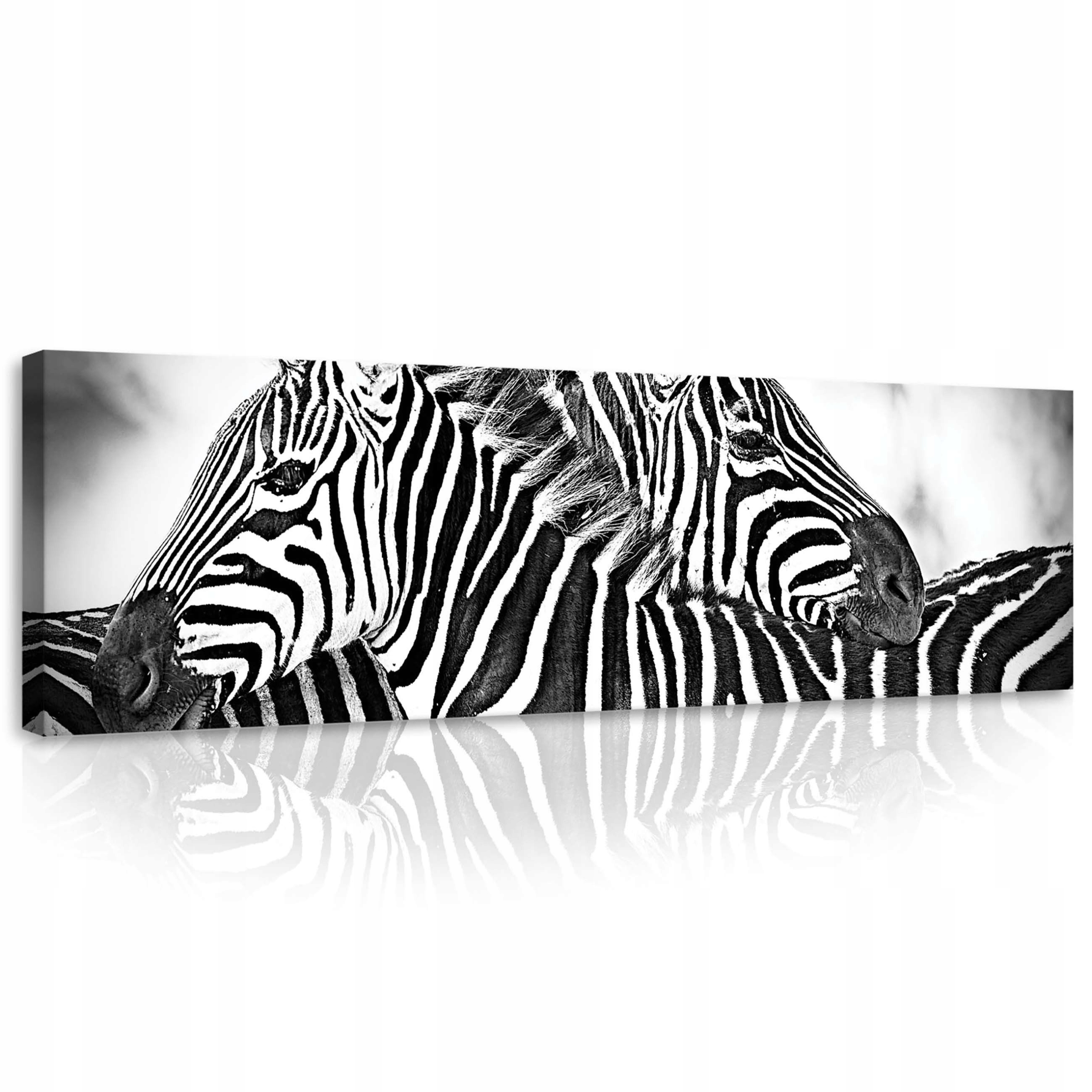 Obraz 145x45 Monochromatická harmonie Zebry v objetí světla do obývacího pokoje