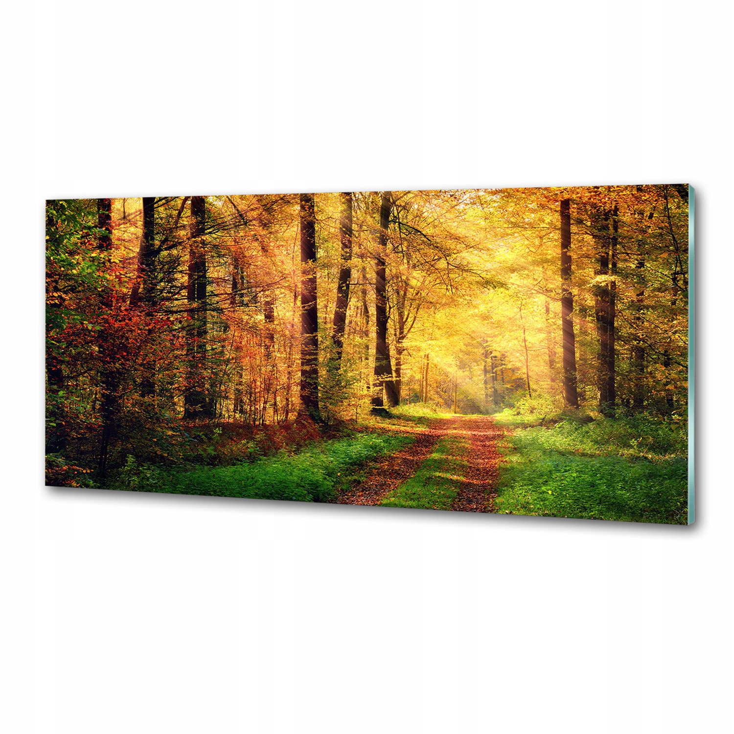 Panel dekor sklo Les na jeseň 125x50 cm Lepidlo