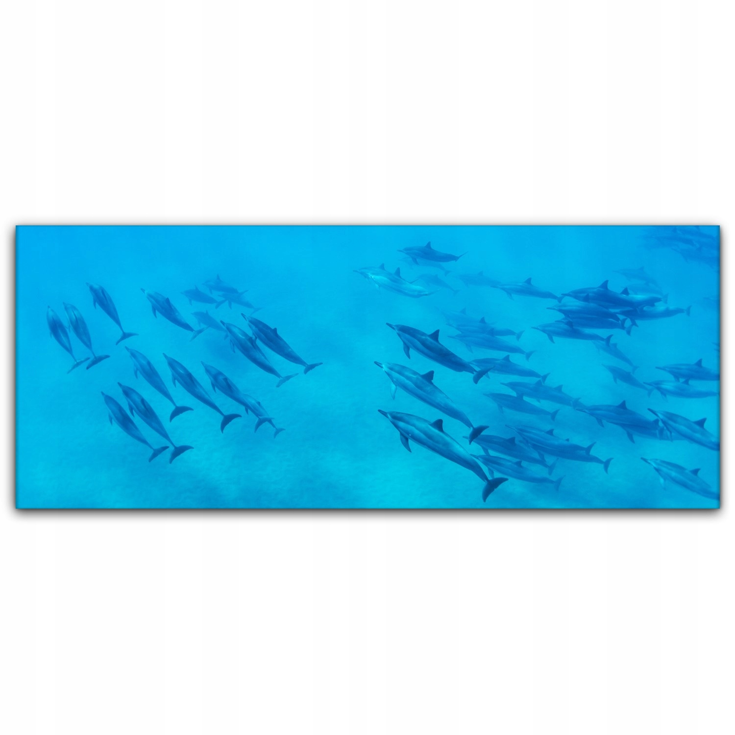 

Canvas do sypialni 125x50 Delfiny Ocean Zwierzęta