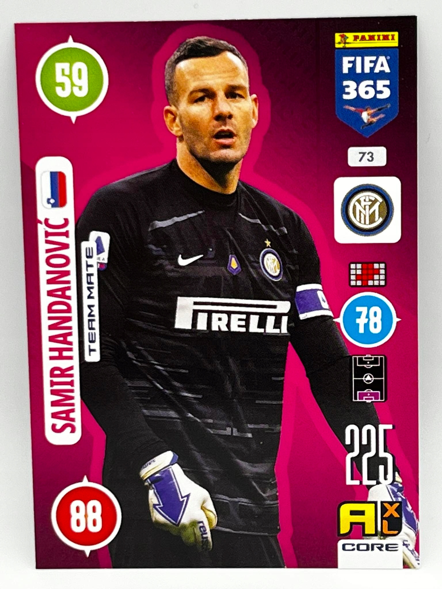 Karty piłkarskie FIFA 365 #073 Handanovič 2021