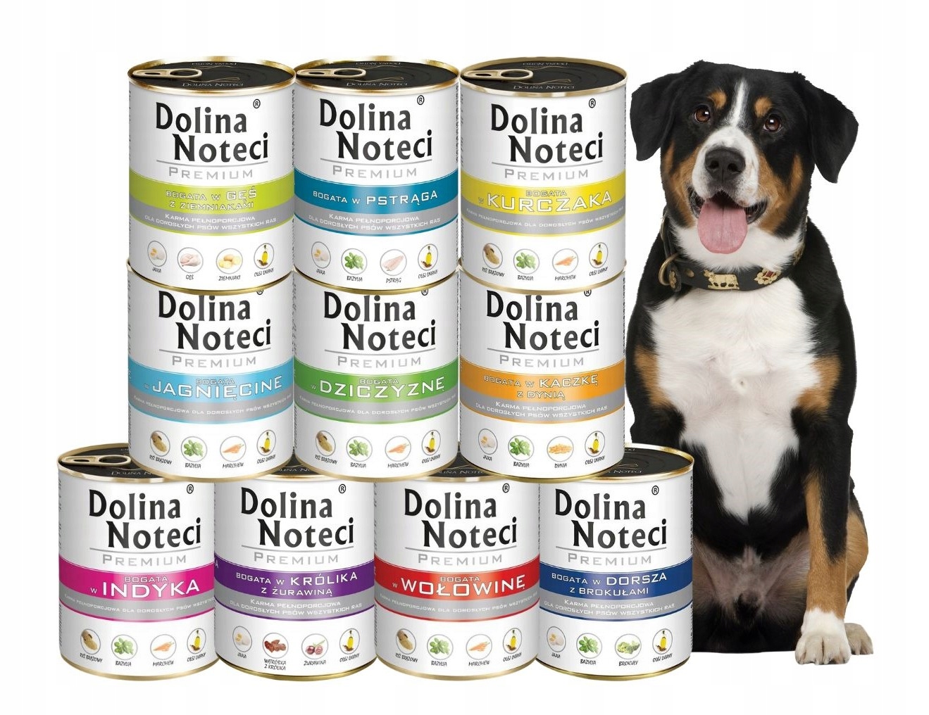 Levně Vlhké krmivo pro psy Dolina Noteci Premium MIX 10x800 g Bez Obilovin