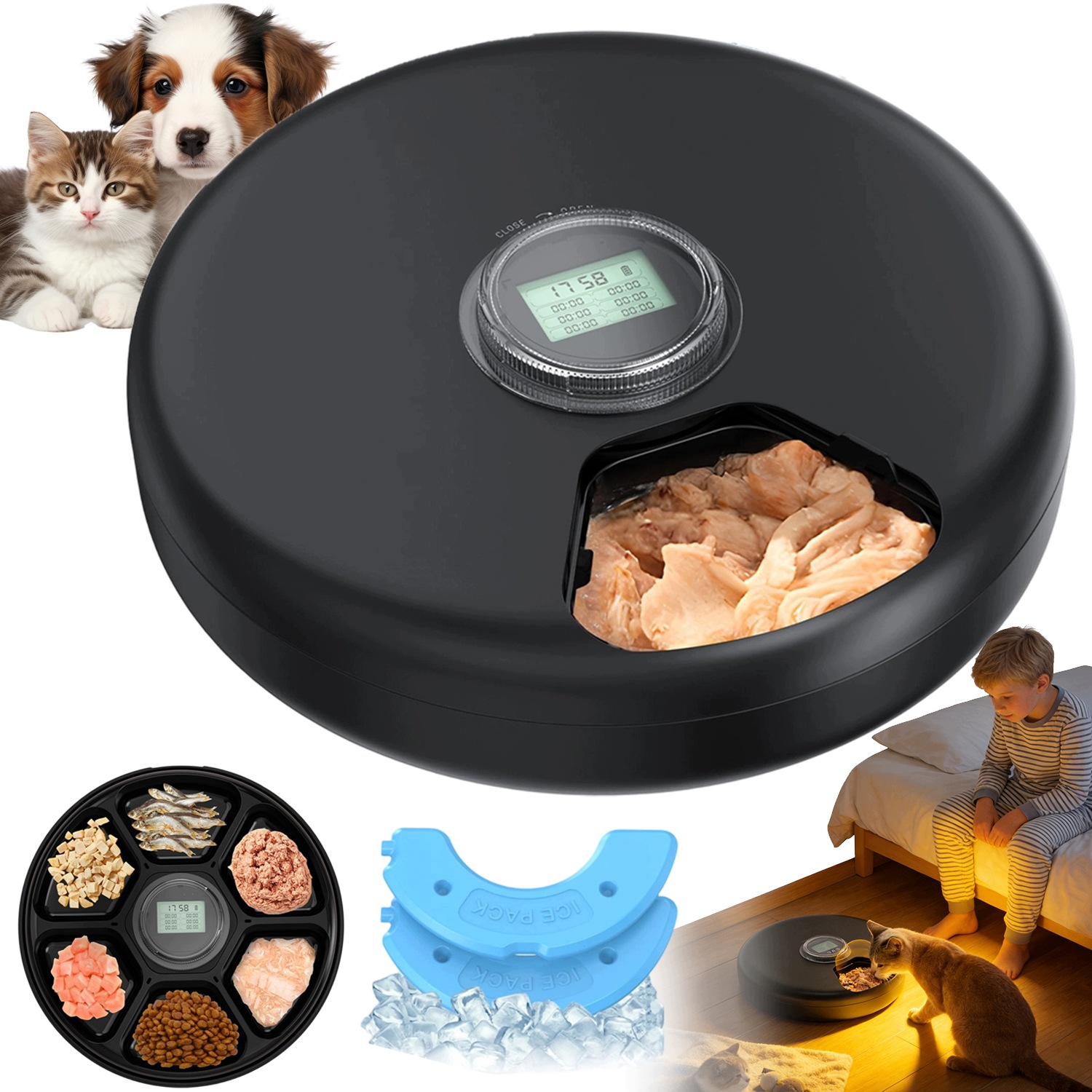 Automatický Podavač Pro Zvířata Krmítko 6 Komor LCD Mokré Suché Krmivo