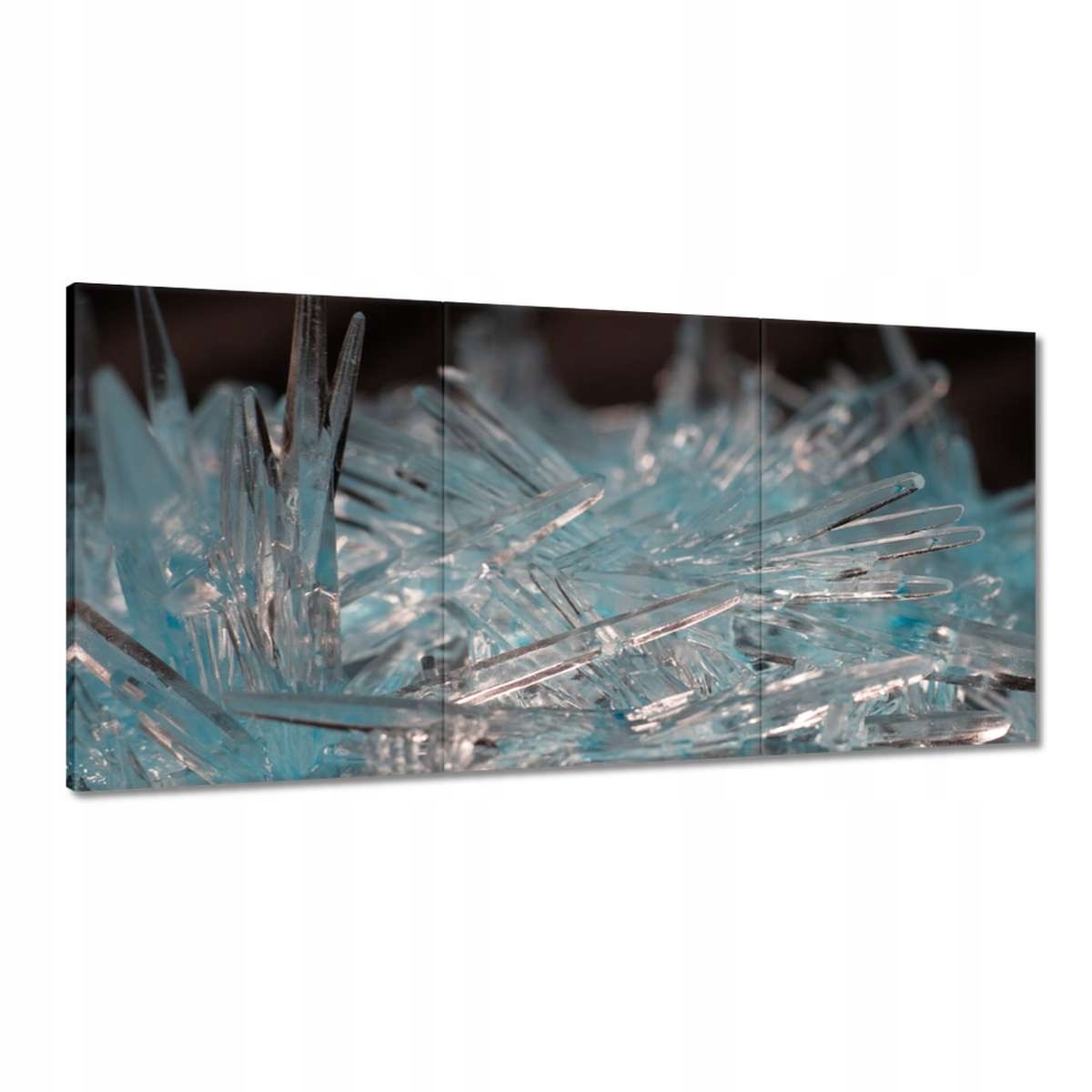 Obrazy 180x90 Makrofotografia MacroFoto