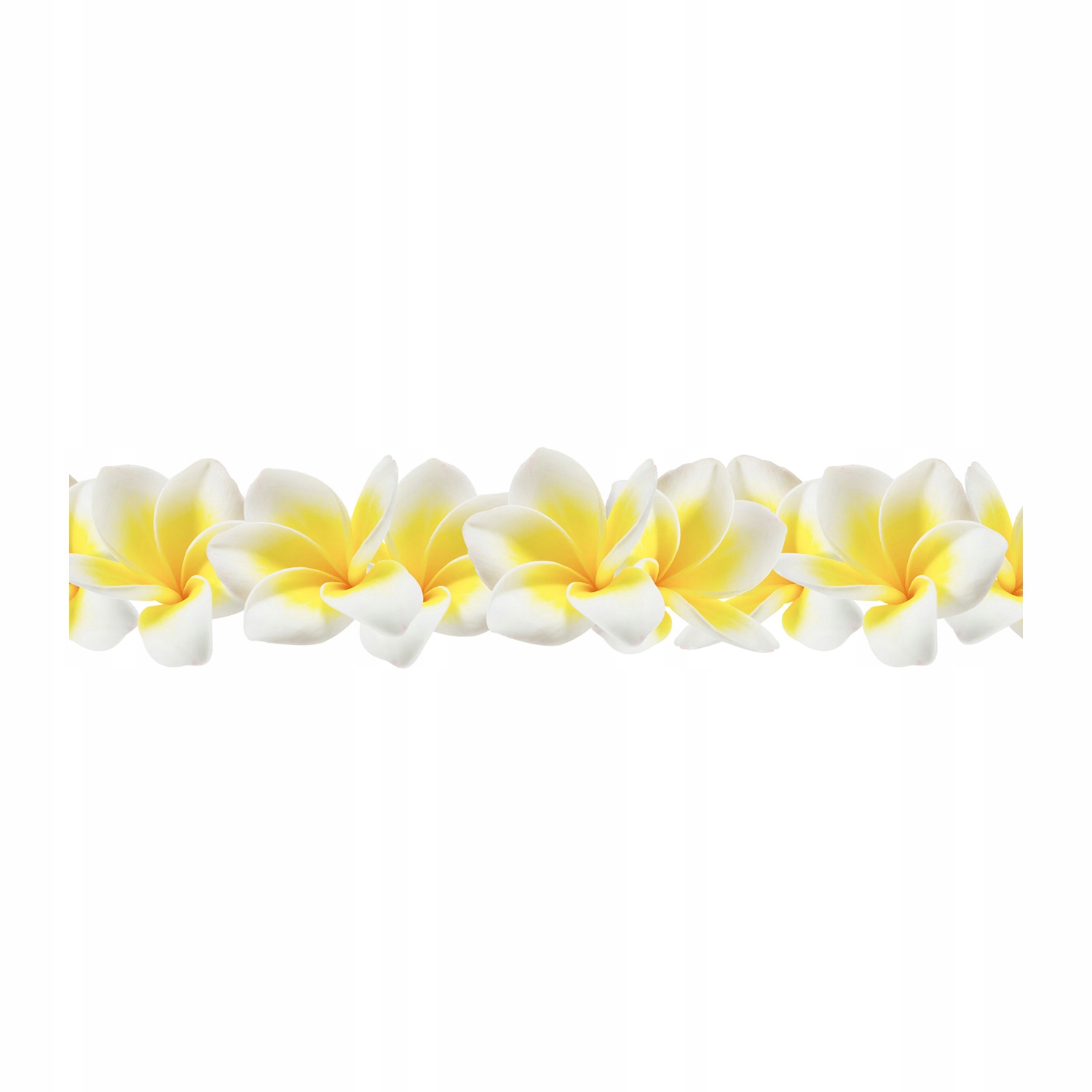 

Foto obraz duży akryl nowoczesny Plumeria 125x50cm