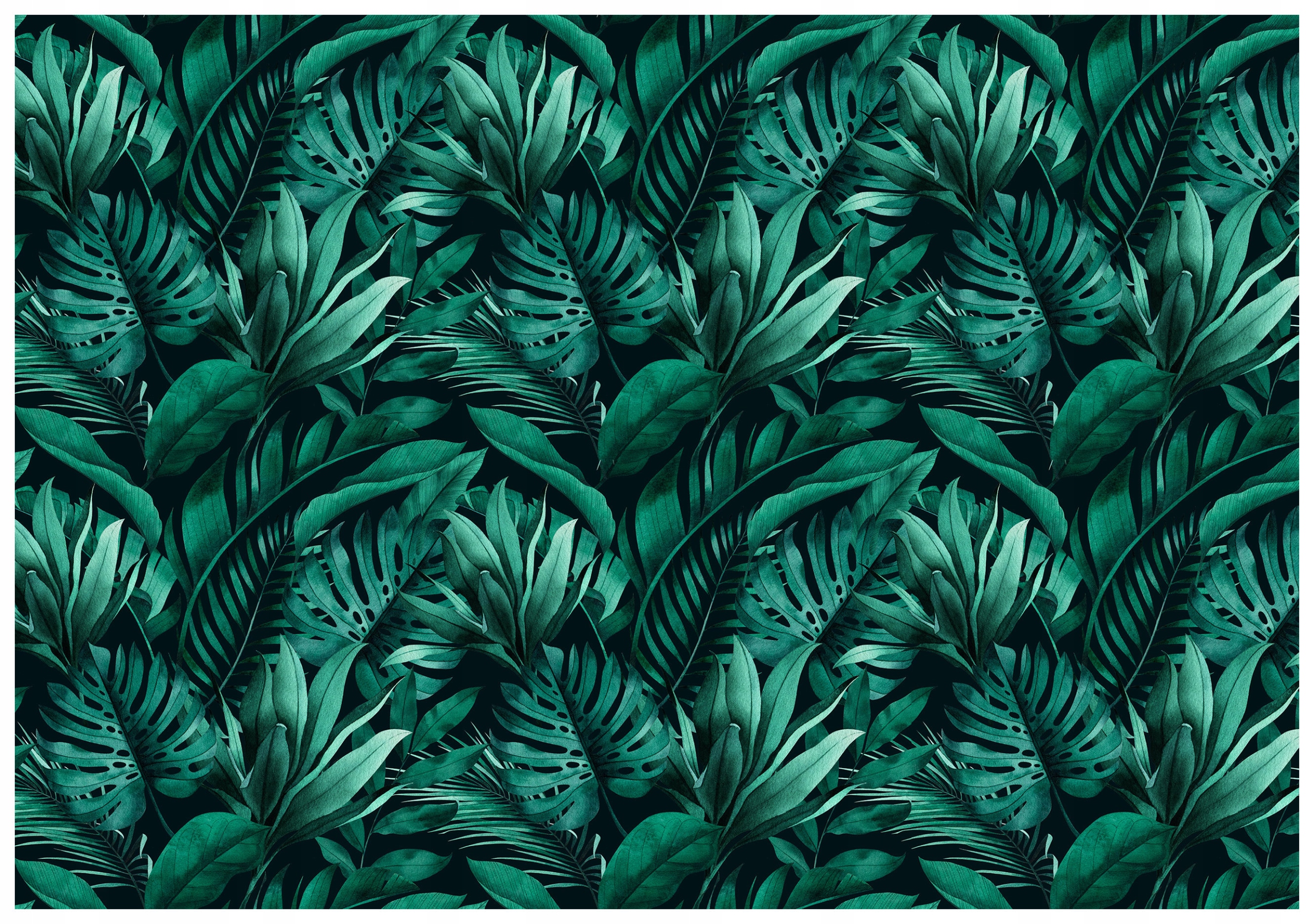 Fototapeta Tropické listy džungle exotika na zeď 312x219 lepidlo