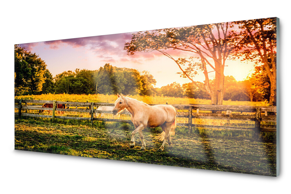 

Panel szklany do kuchni Koń Łąka Zwierzęta 125x50