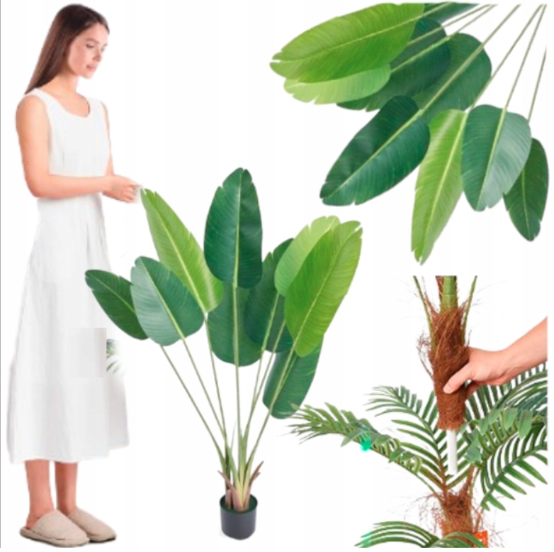 Umělá Palma Stromek Do Obývacího Pokoje Jako Živá Na Terasa Balkon V Květináči 150cm