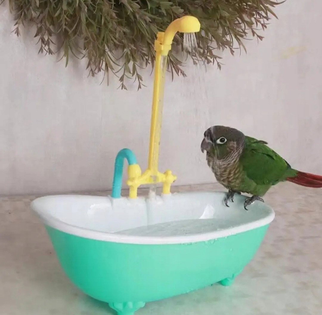 Levně Automatický bazén – koupací vana pro papoušky