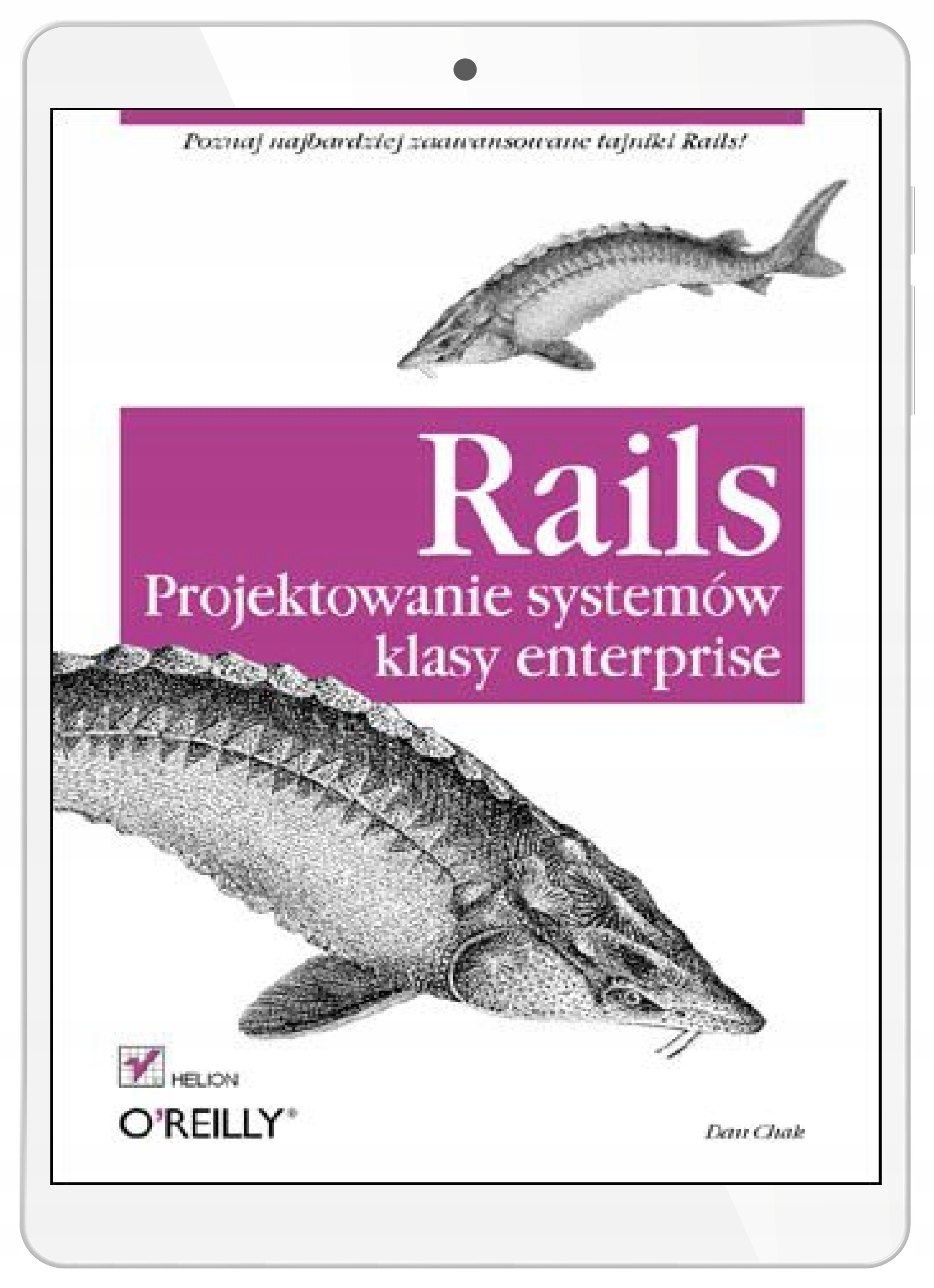 Rails. Projektowanie systemów klasy