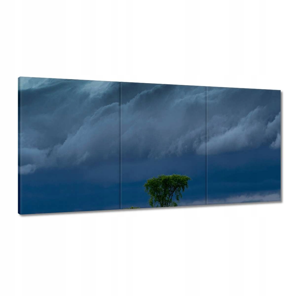 Obrazy 180x90 Kukuričné pole Stromy